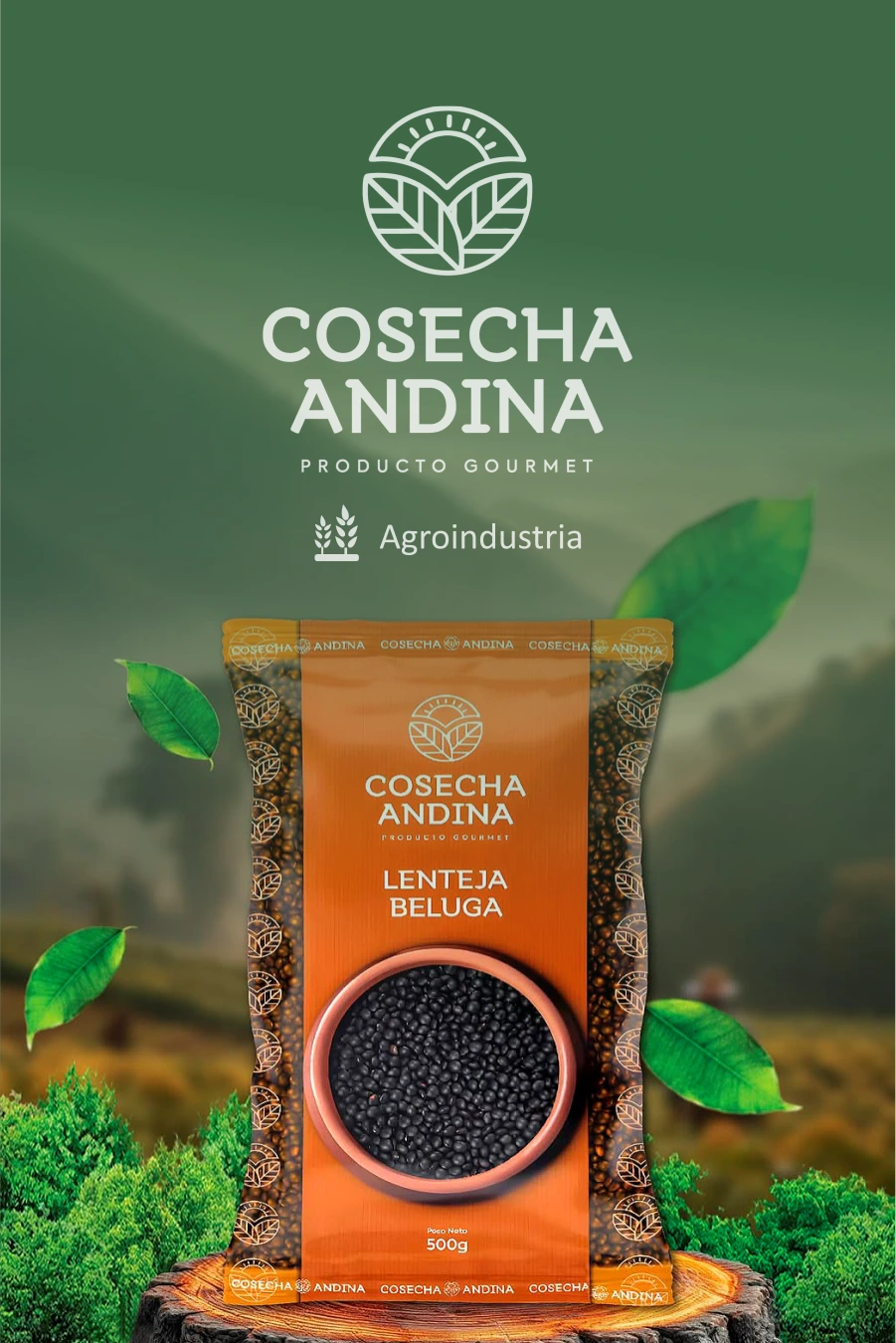 Gabriel Vila, Cosecha Andina